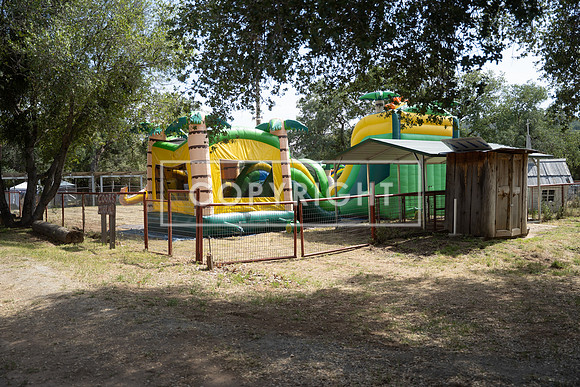 SA307313