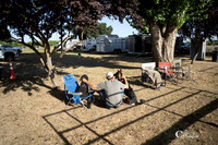 SA309062