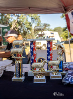 Mutton Bustin 1st round 6-13-26
