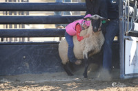 Mutton Busting