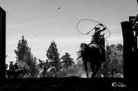 SA303509