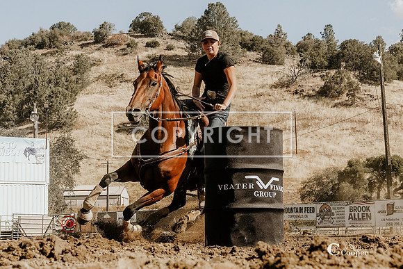 SA308259