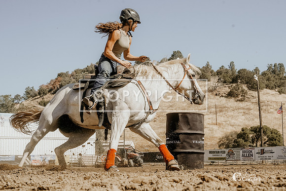 SA308499