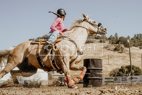 SA308533
