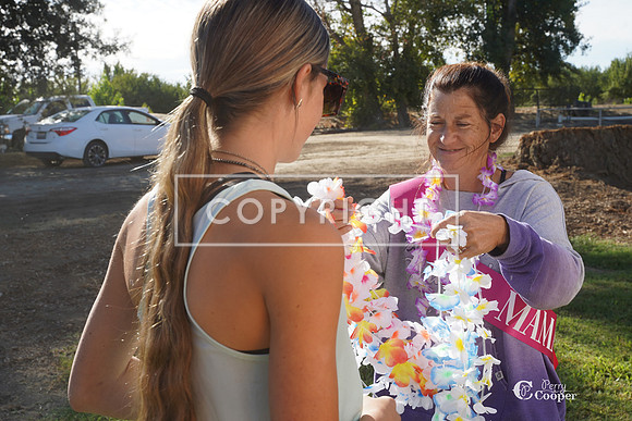 SA308704