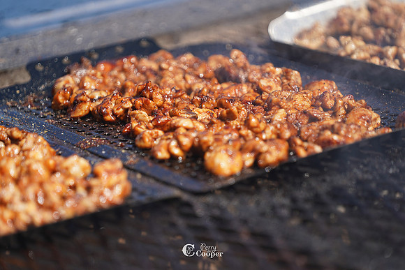 SA908725