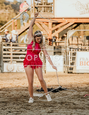SA900036-2