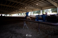 Roping Action