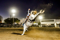 SA303976