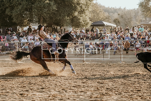 SA909767-2