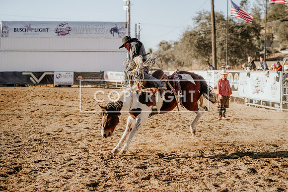 SA909916