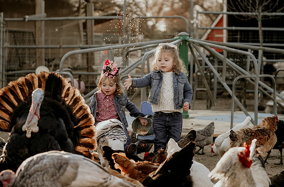 _SA38116