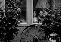 _SA37185bw